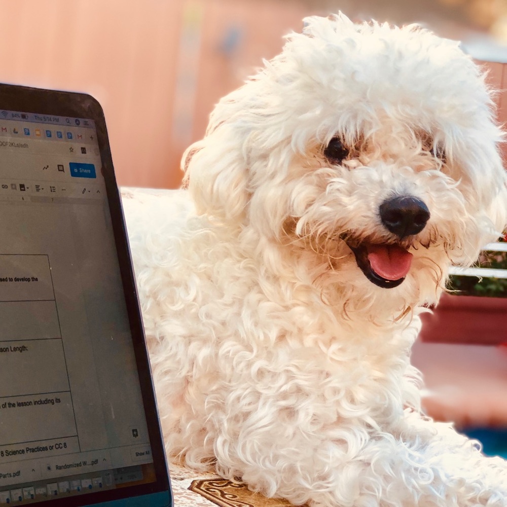 Meet your Posher, Sheila